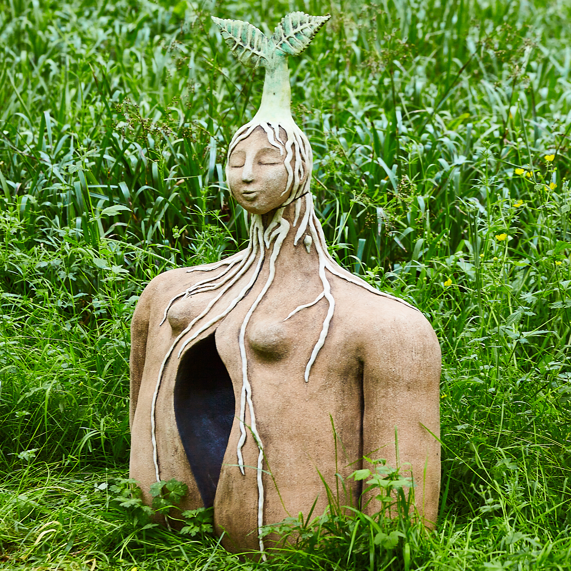 48: Birth of a Tree | Stone Lane Gardens